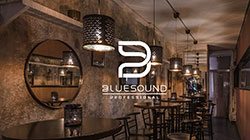 Bluesound grows distribution network